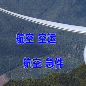 百色巴马机场邮寄快递-选东方航空和上海航空